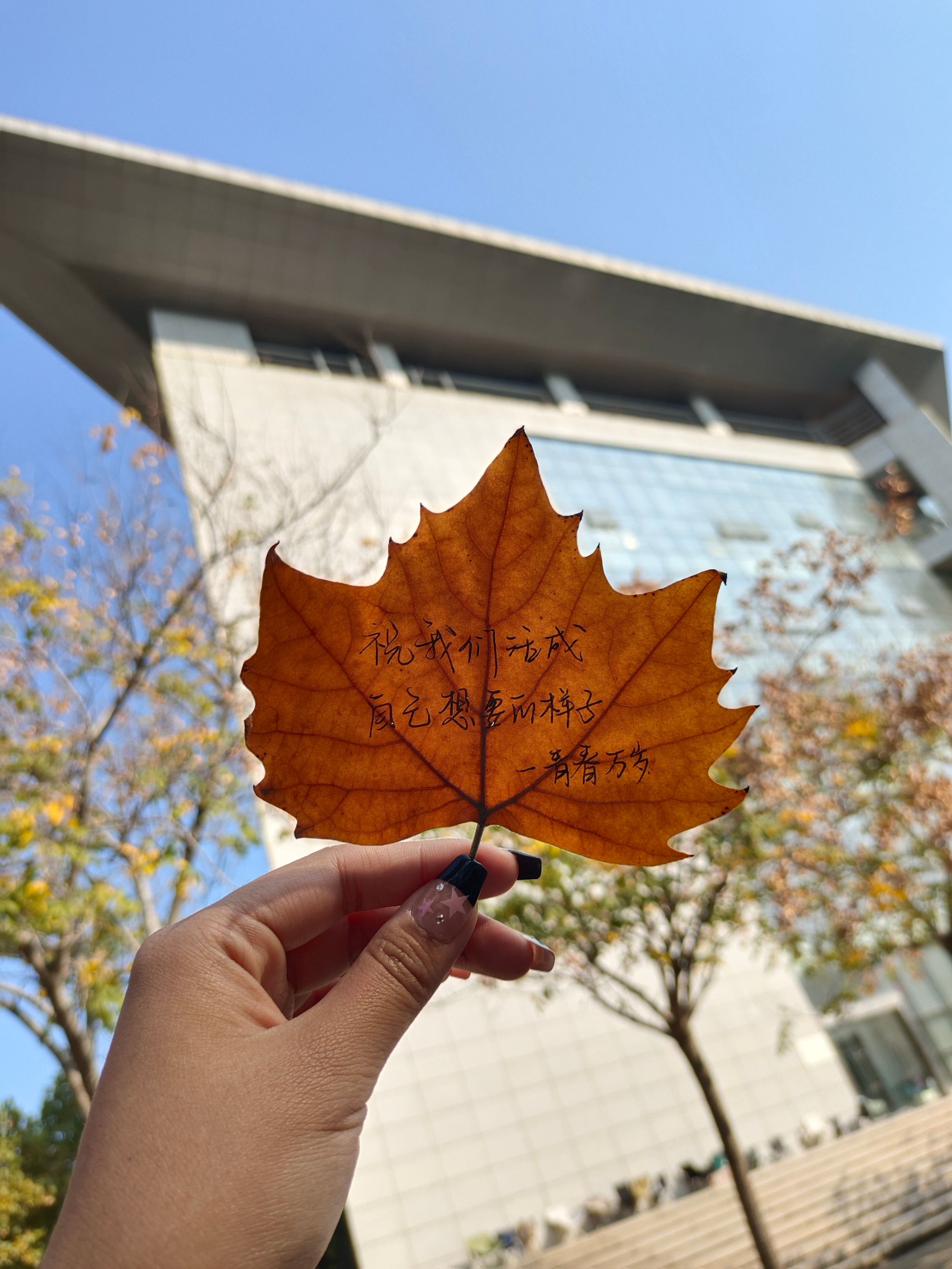 世界杯外围投注