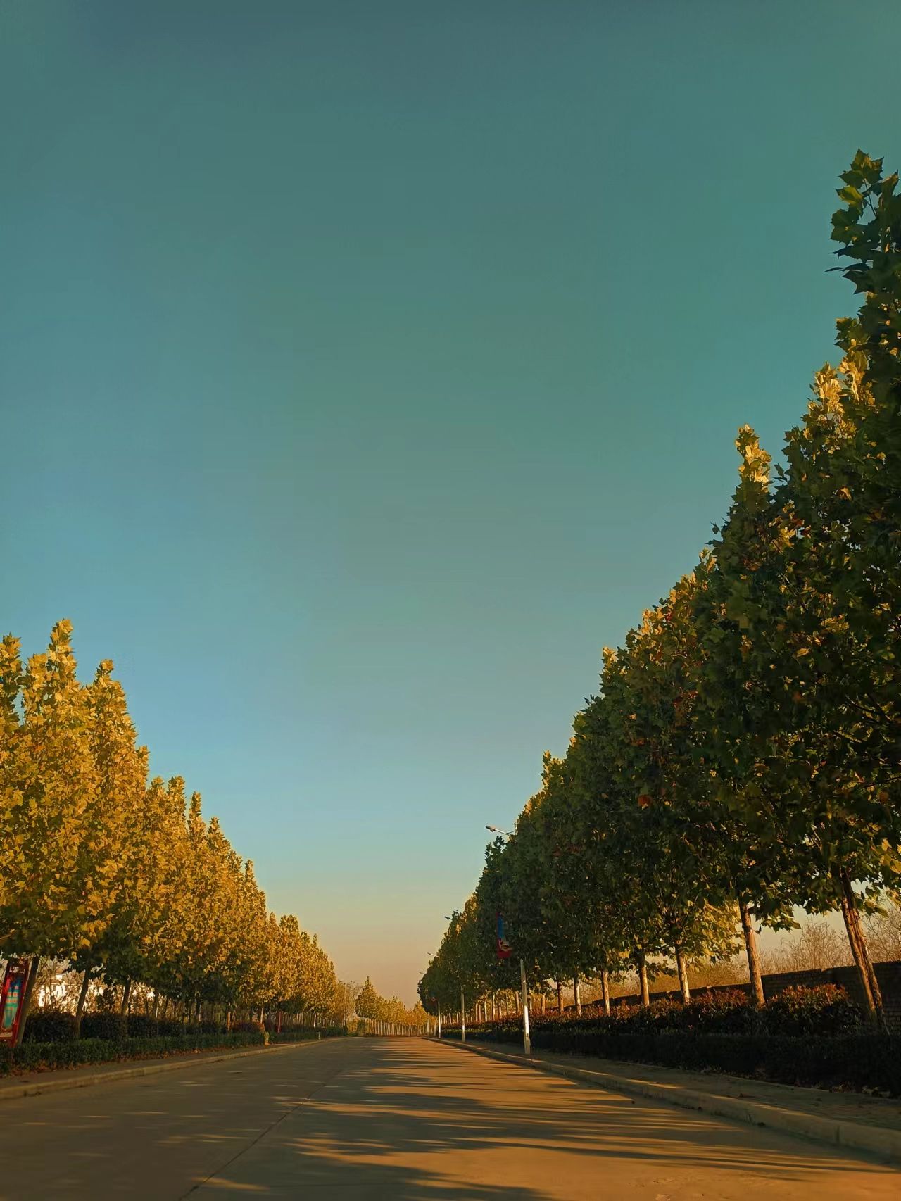 世界杯外围投注