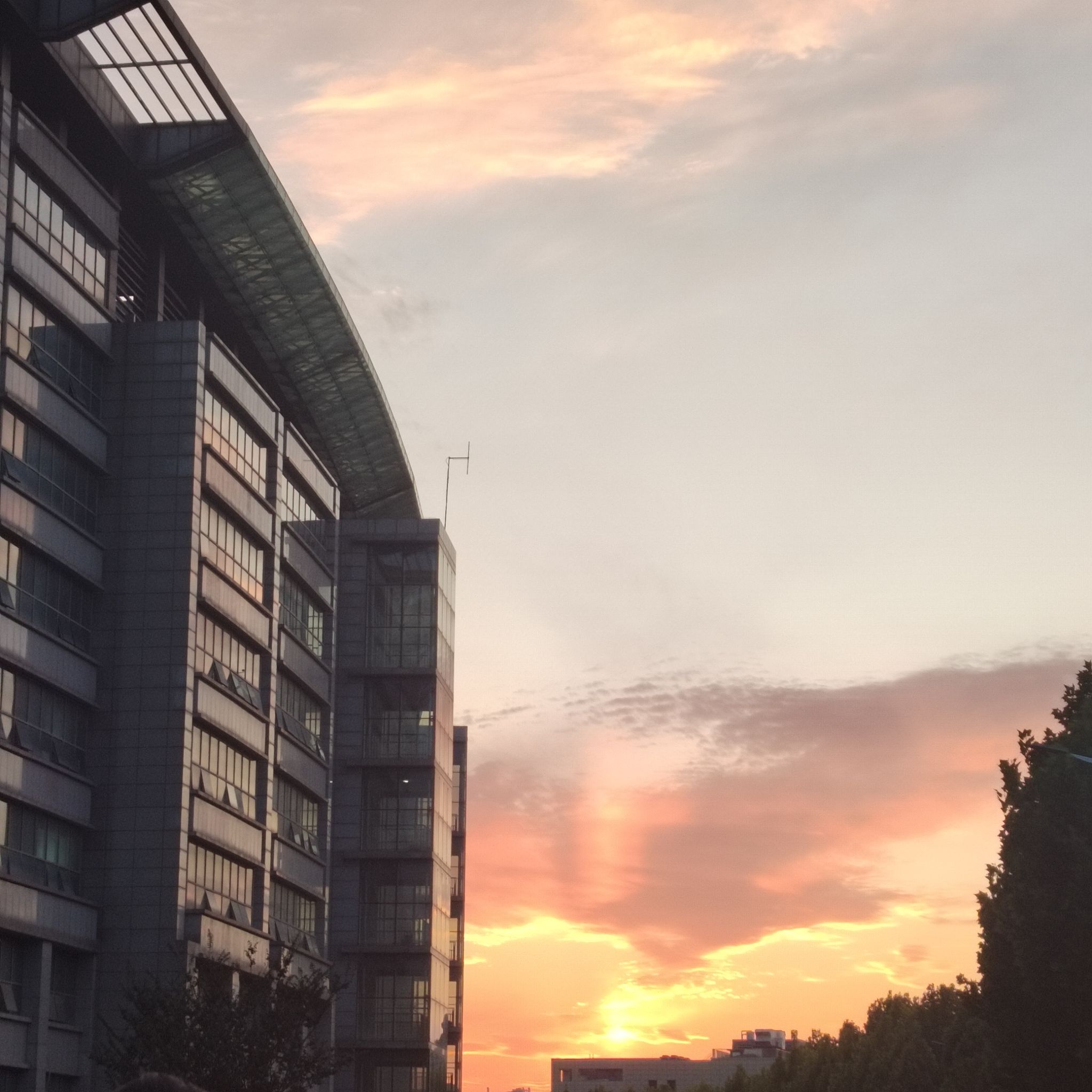 世界杯外围投注