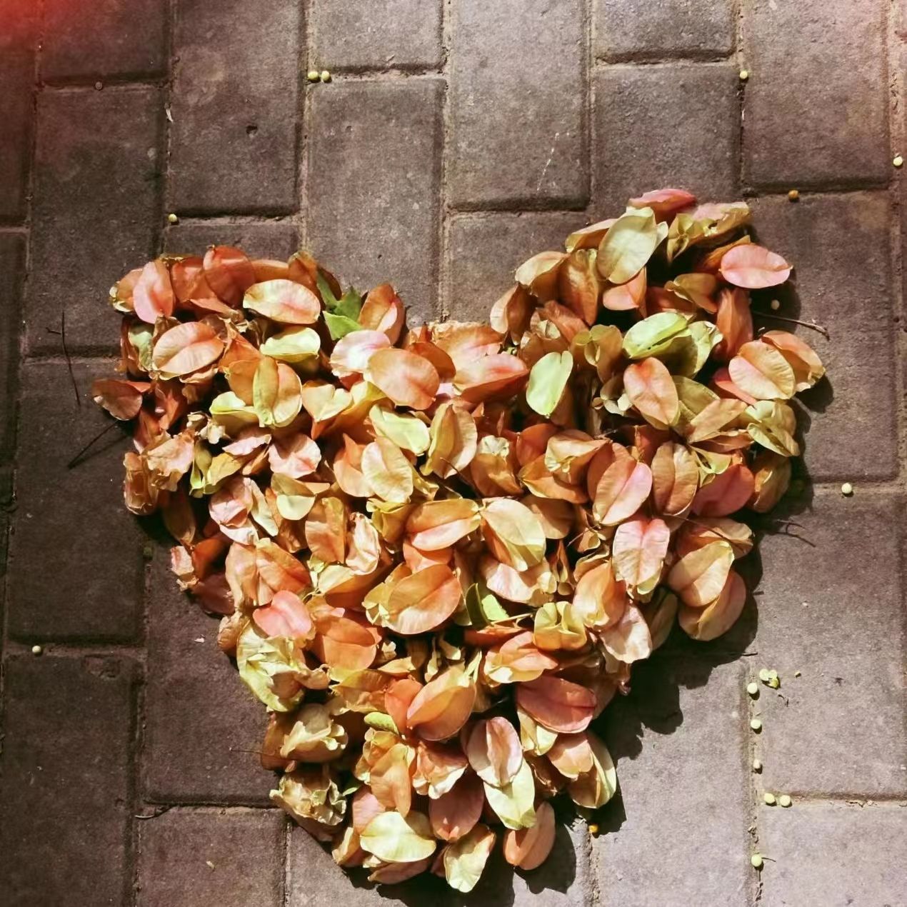 世界杯外围投注