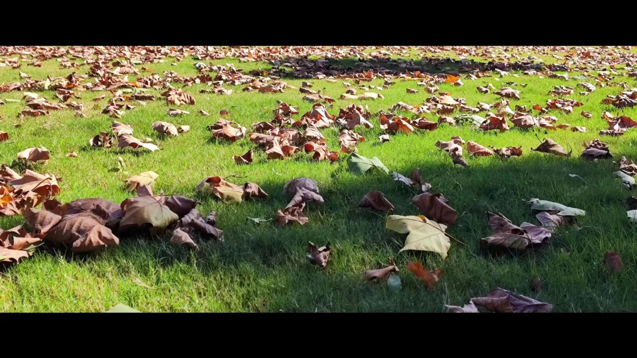 世界杯外围投注