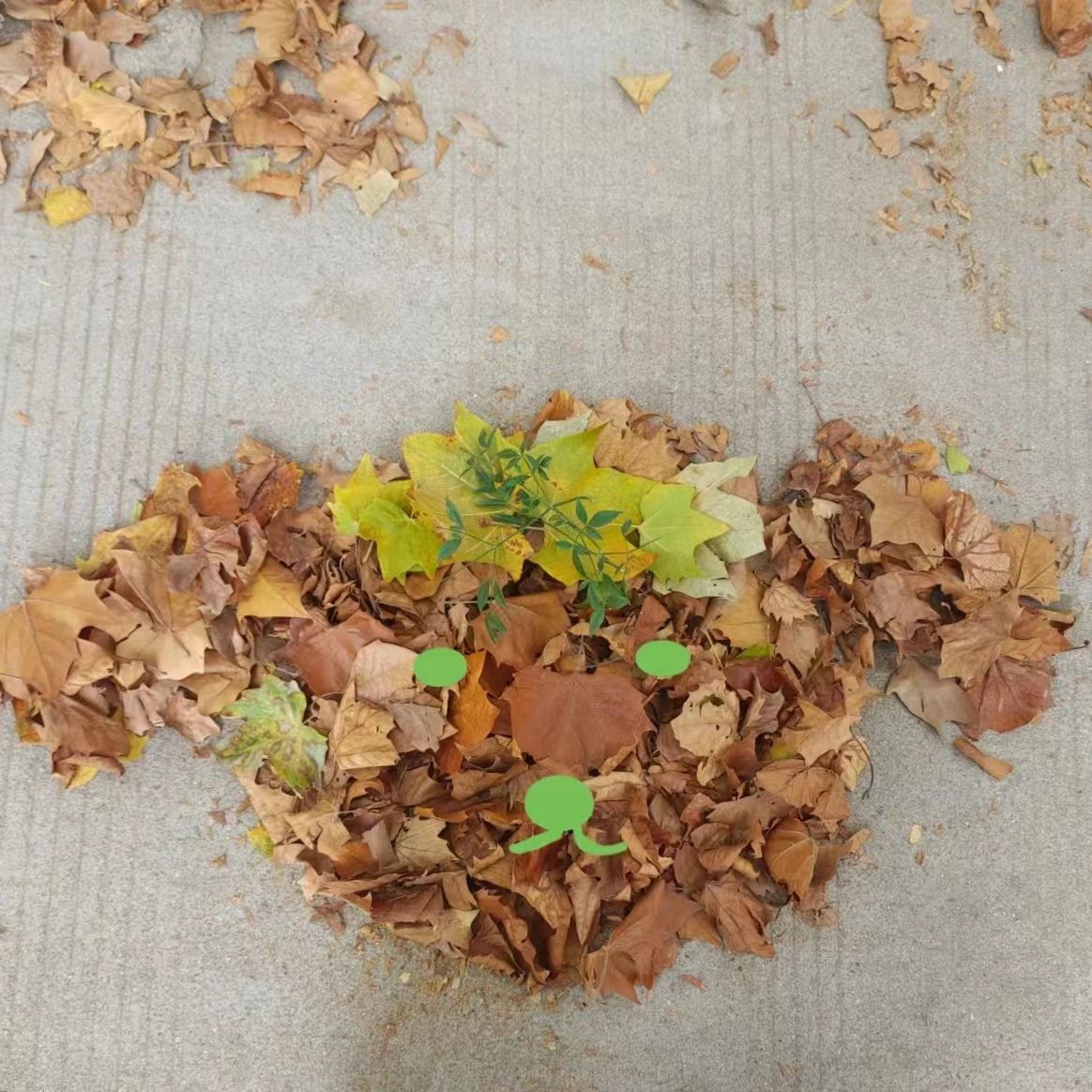 世界杯外围投注