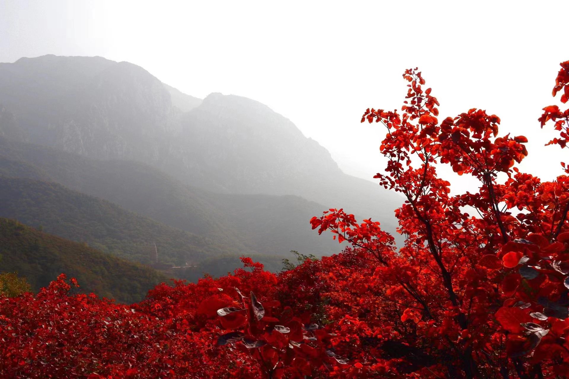 世界杯外围投注