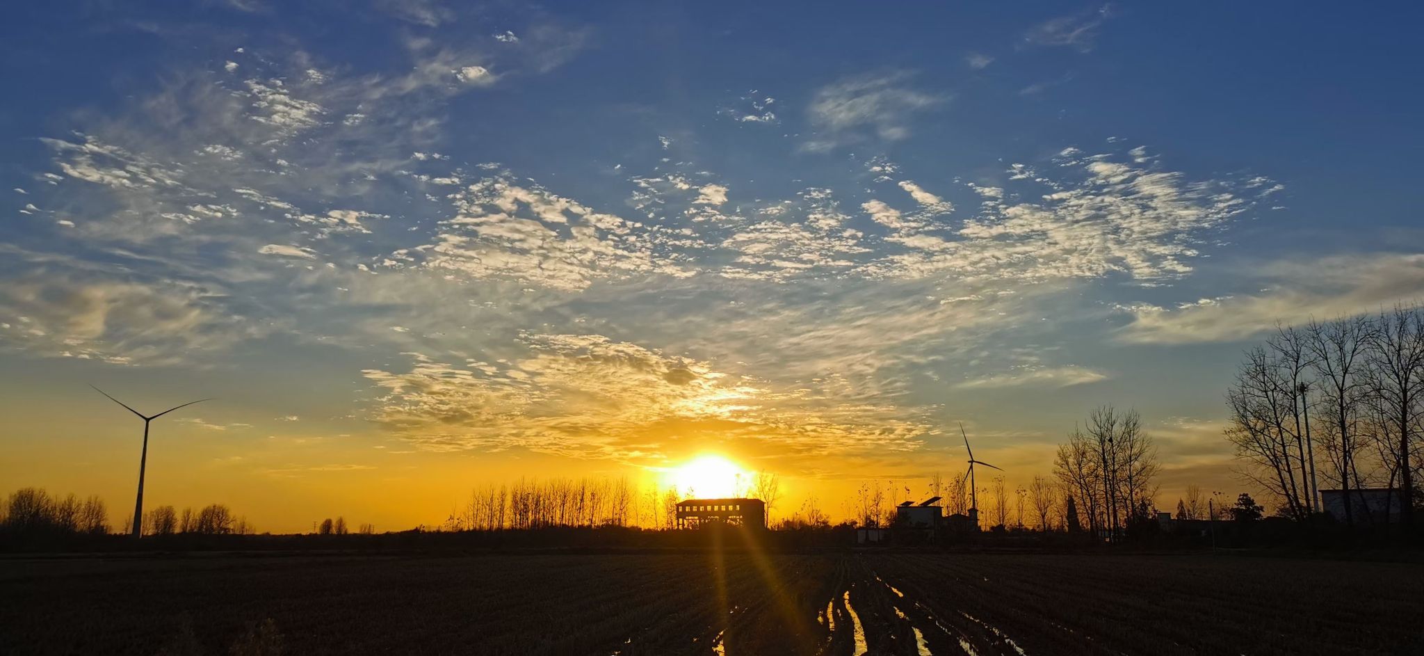 世界杯外围投注